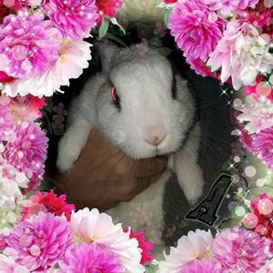 Meet your Posher, Leonard